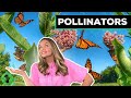 Pollination and Pollinator Adaptations