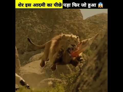 Sher Ne Attack Kiya Phir Kya Hua? ? Best Movie Scene ? || #shorts #viralvideo #mrfact