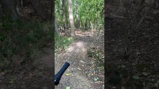Mtb