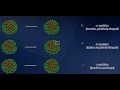 Nuclear Radiation and Particle Decay