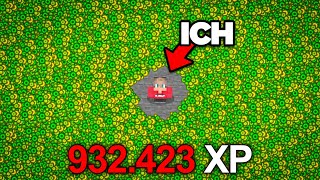 Dem GANZEN SERVER die XP geklaut! 😈
