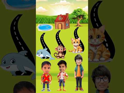 Guess the right sequence Challenge !😸🐵🐬 #soravjoshivlogs #piyushjoshi  #kunalijoshi #shorts