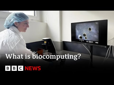 YouTube video thumbnail: What Is Biocomputing?