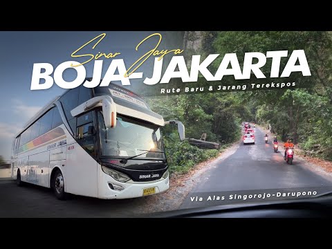 [ BLUSUKAN TENGAH HUTAN ] SINJAY BUKA RUTE SAMPAI SINI ‼️ - Trip Sinar Jaya Boja-Jakarta (Part 1)