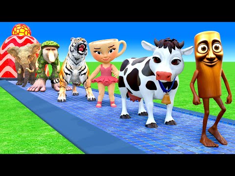 Long Slide Game With Cow Elephant Gorilla Hippopotamus Tiger - 3d Animal Game - Funny 3d Animals