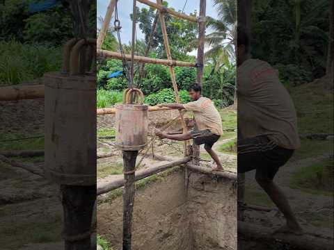 মাটির ভেতর ঢুকিয়ে দিচ্ছে বিশাল সাইজের সব গাছ