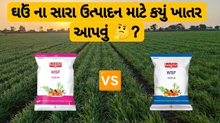 Best NPK Fertilizer for Wheat || npk 0 52 34 || npk 12 61 0.