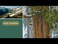 Biomes and Their Characteristics