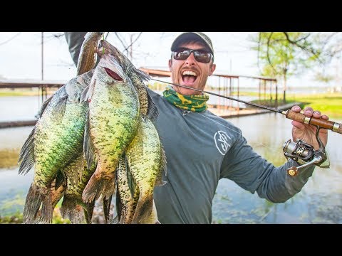 BIG CRAPPIE SPAWNING in Shallow Brush! CATCH & COOK