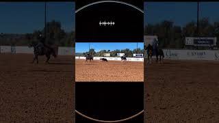 Team roping at Down Town arena in Wickenburg!