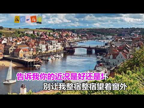 王愛華  你是我不變的夢 KTV