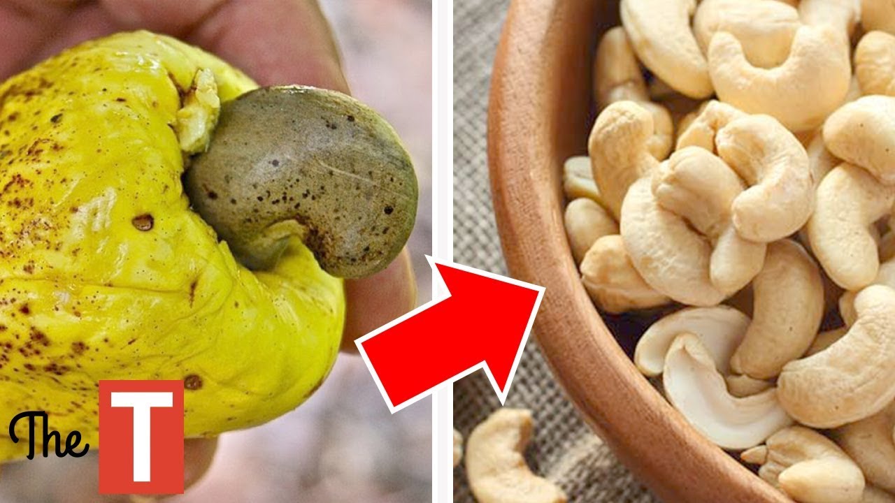 What Popular Foods Look Like Before They're Harvested