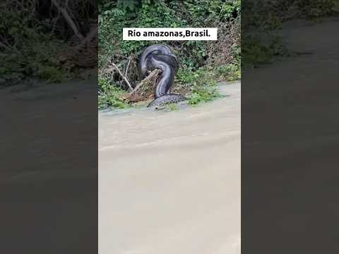 Lugares donde no te puedes bañar. #shorts