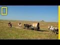 Pioneers' Journey and Challenges