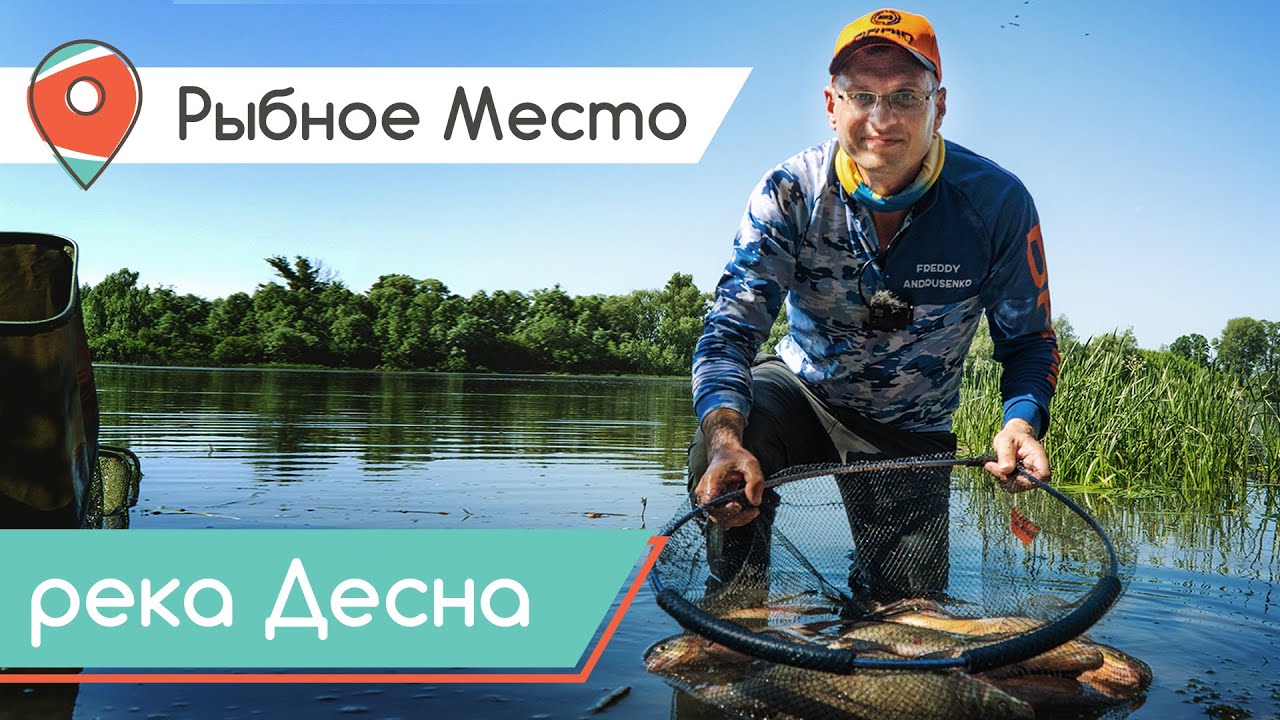 СУПЕР КЛЕВ ЛЕЩА на Десне. Ловля на фидер в кайф! Рыбное место