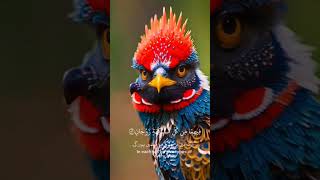 | Surah Ar-Rahman | islamictemplate | viralvideo | #kmgraphicdesigner #Hajjmubarak #SharePost