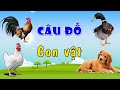 Animal Sounds and Colors