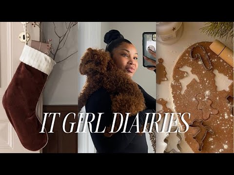 it girl diaries | a day with family | Vlogmas day 9 | I AALIYAH JAY