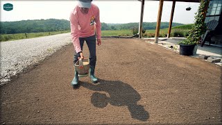 Why You Should Plant Grass Seed RIGHT NOW