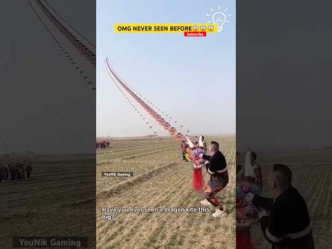 Biggest Kite Ever😱😱 Kite Flying🪁 #kite #kites #kiteflying #patang #shorts