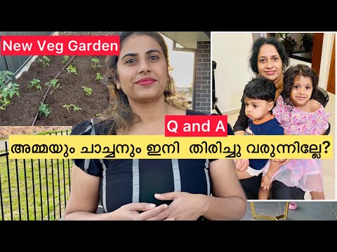 പറയാതെ ഇനി കഴിയില്ല 🙏🥰Our daily vlog#trendingnow #family #familyvlog #familytime #amma #qanda #vlog