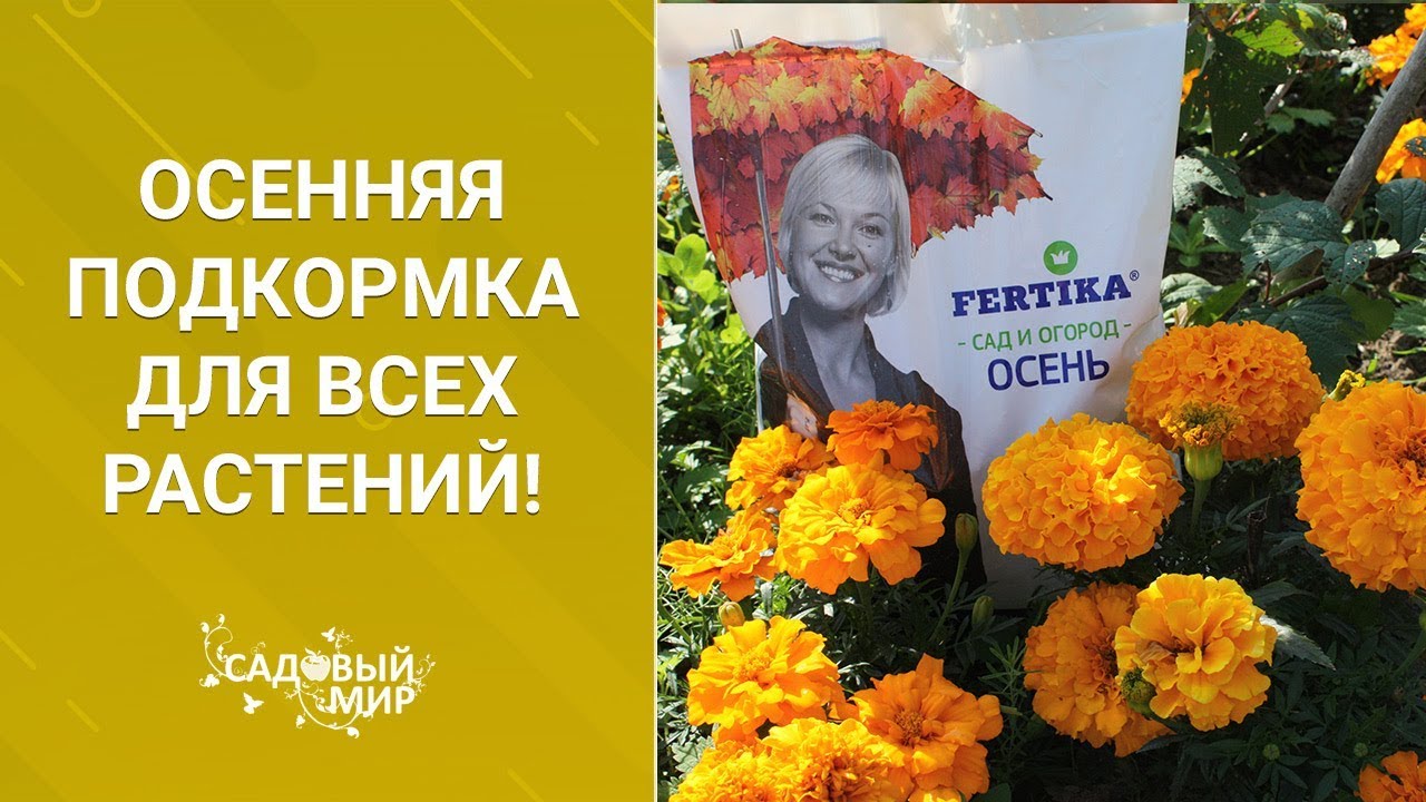 Осенняя подкормка для плодовых деревьев, кустарников и роз. Комплексная, универсальная