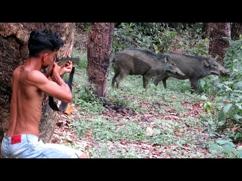 BERBURU ROBOHNYA 2 EKOR BABI HUTAN JUMBO PEMAKAN DURIAN‼️deadly struggle in the middle of the forest