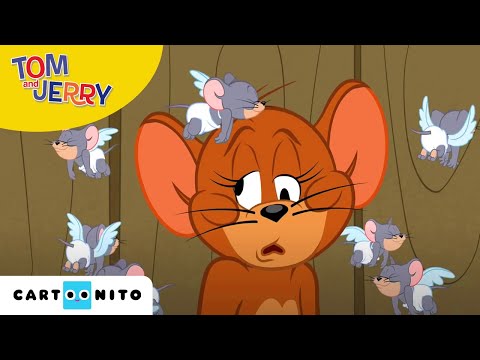 Tom and Jerry | Liefdesrivalen | Cartoonito