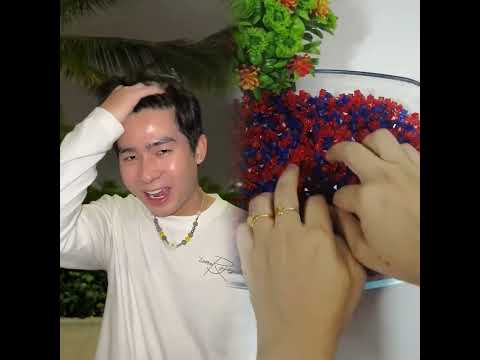 Trêu đùa nhau ngày mưa gió #hzmedia #bachkhi