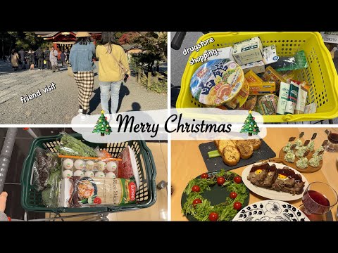 friend visit from SG, drugstore shopping, early Christmas party | living in japan