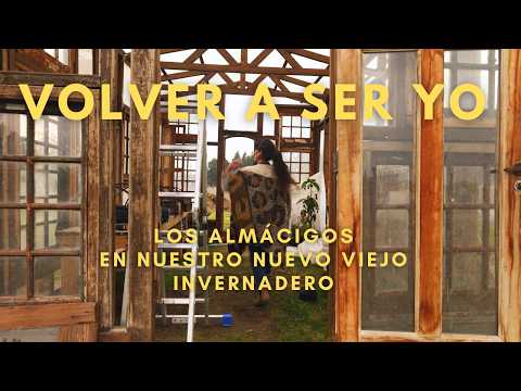 🌱 🌟  Comienzan los Almácigos en mi Viejo nuevo Invernadero | Vuelvo a ser Yo