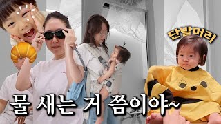 물 새는 거 쯤이야~ㅋㅋ 돌쟁이 첫 단발✂️ 유아 가구 구매, 기미디바이스, 첫 생우유, 코스트코 쟁임템, 요즘 가방, 강남면옥