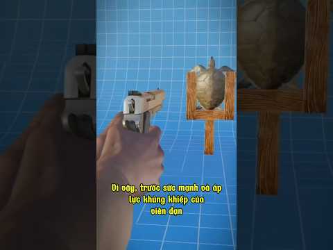 Mai Rùa Có Chống Lại Được Viên Đạn Không?#youtubeshorts