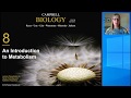Energy Forms and Metabolic Pathways