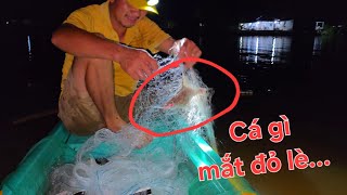 Sụp tối cá mê lưới, thả dạo lưới dư ăn luôn | Săn bắt SÓC TRĂNG |