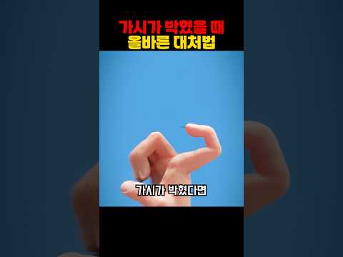 가시가 박혔을 때 올바른 대처법
