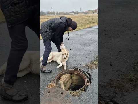 He Was Poisoned Then Thrown Into A Drain