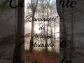 Comprensión del Poema 'Caminante'