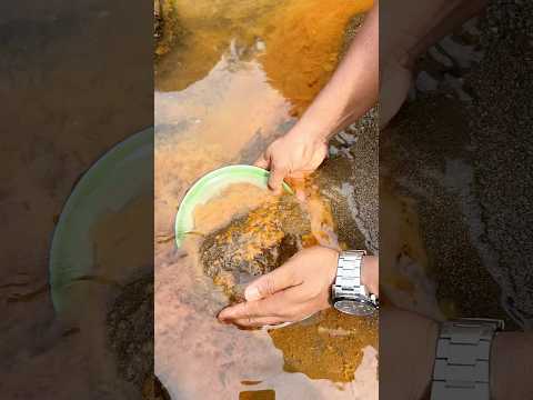 Wow.., Shocked the world 😱‼️Amazing gold discovery in the scary river. #goldprospecting #goldrush