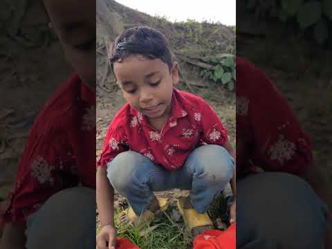 হিংসা করা ভালো না #shorts #short #shortfeed #shortsviral #shortsbeta #ytshorts #shortvideos