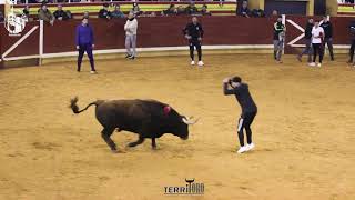VIII TORO DEL MILAGRO ILLESCAS
