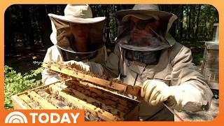 YouTube video thumbnail: Couple Behind Lomar Farms on Importance and Joy of Beekeeping