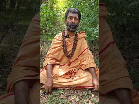 நாங்கள் எடுக்கும் வீடியோ பதிவுகள் அனைத்தும் திருவண்ணாமலை  வனப்பகுதியில் எடுக்கப்பட்டது அல்ல💯 #shorts