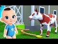 Animal Interactions in a Video