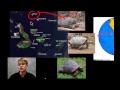 Darwin's Theory of Evolution Concepts