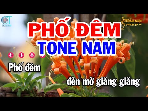 Karaoke Phố Đêm Tone Nam ( Am ) Nhạc Sống Tuấn Kiệt