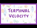 Understanding Terminal Velocity