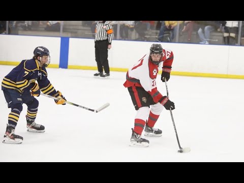 VIDEO STORY: Lobo men's hockey battles rivals NAU in close back-to-back games