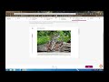 Understanding Lesson Structure and Activities