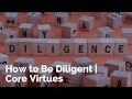 Understanding Diligence